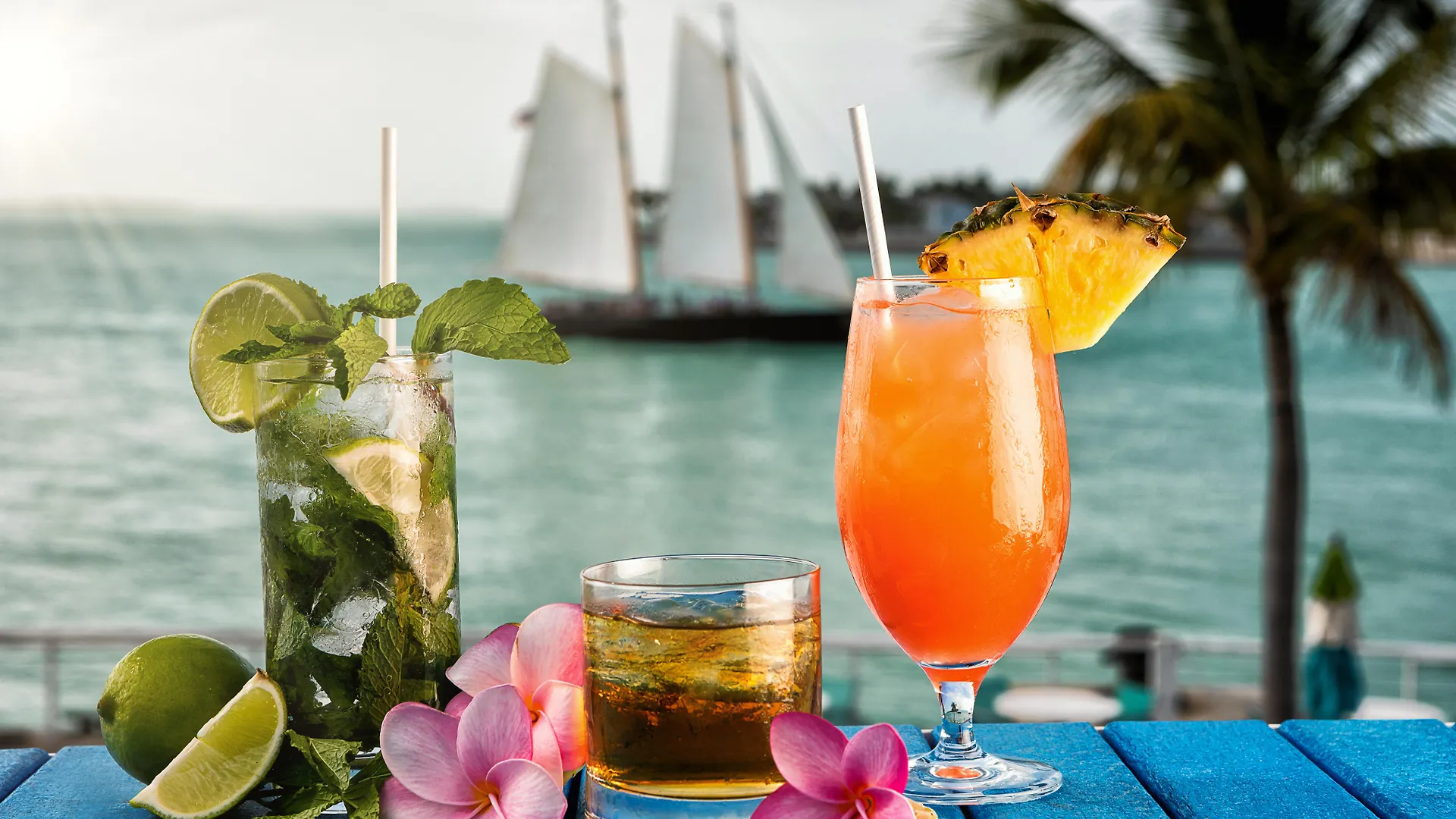 ****  Opal Key Resort & Marina Key West Estados Unidos da América